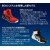 安全靴 アシックス 安全スニーカー CP307(1273a028) BOA 新作 ローカット ダイヤル式 メンズ レディース 作業靴 JSAA規格  22.5cm-30cm