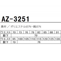 作業服春夏用 アイトスAZ-3251 ワンタックカーゴパンツ 帯電防止素材